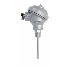 TRPT-231-8-100-1/2 - 100 mm PT-100 Head Type Thermocouple